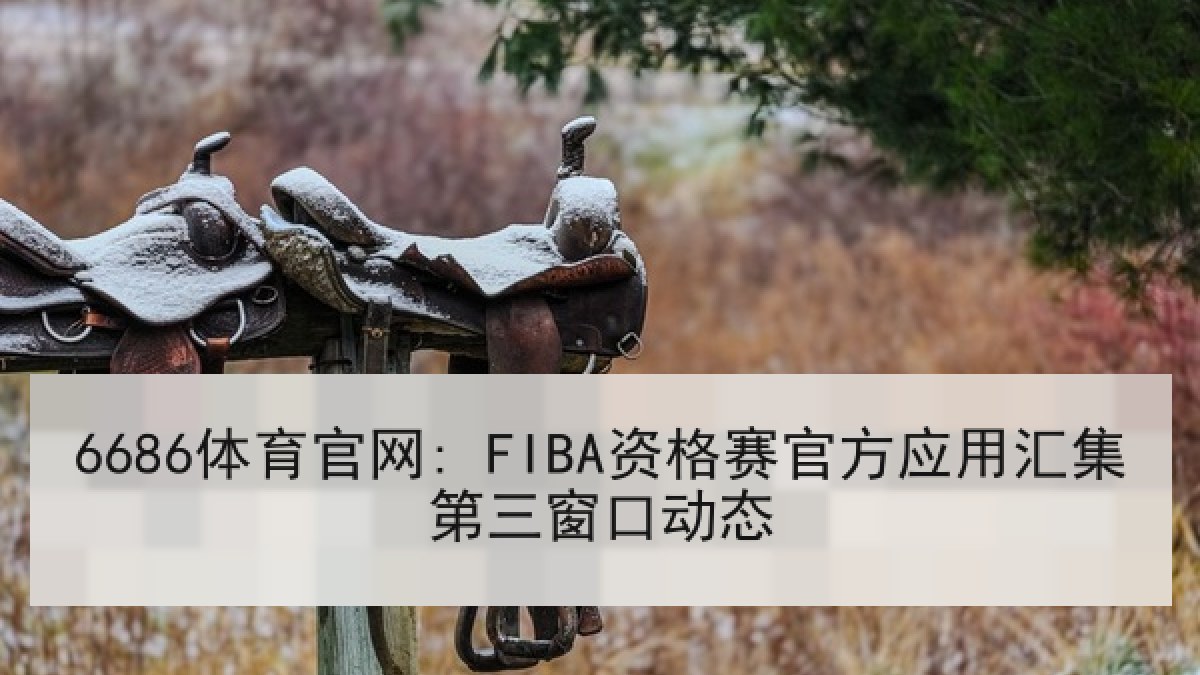 6686体育官网: FIBA资格赛官方应用汇集第三窗口动态