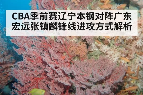 CBA季前赛辽宁本钢对阵广东宏远张镇麟锋线进攻方式解析